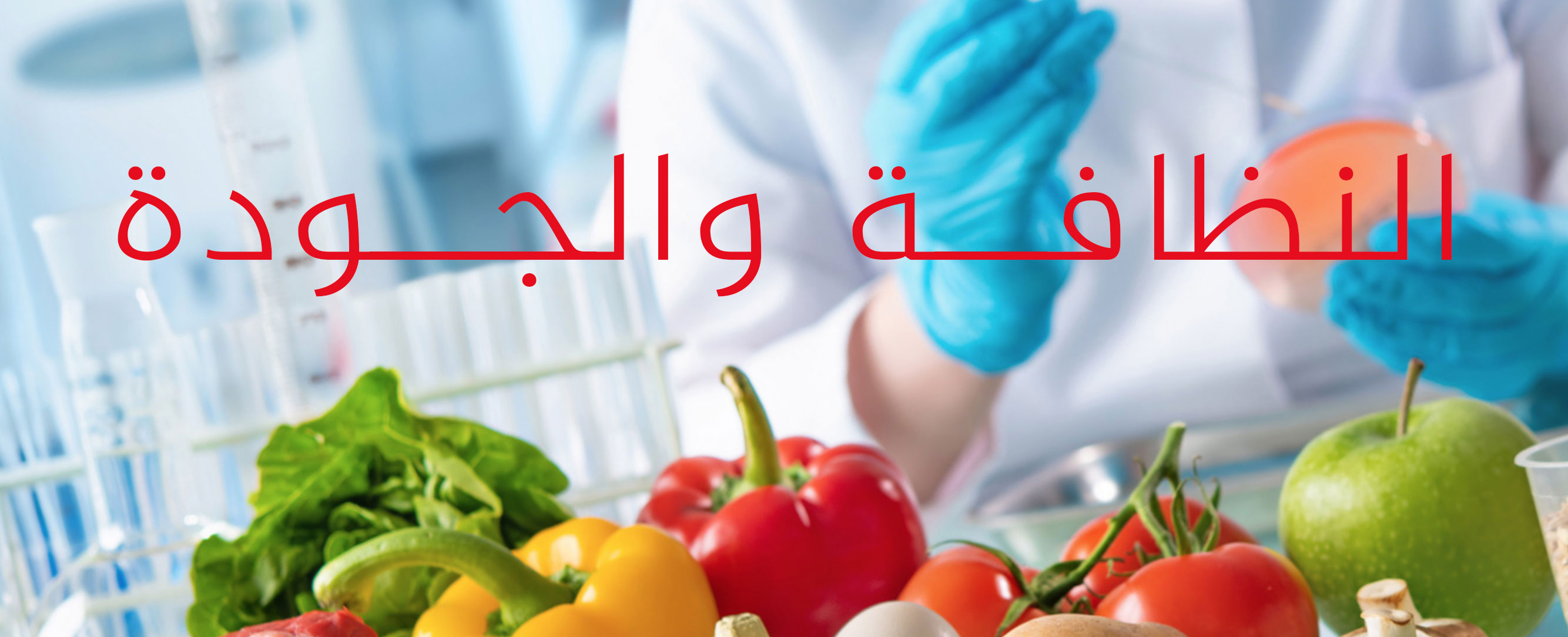 home banner